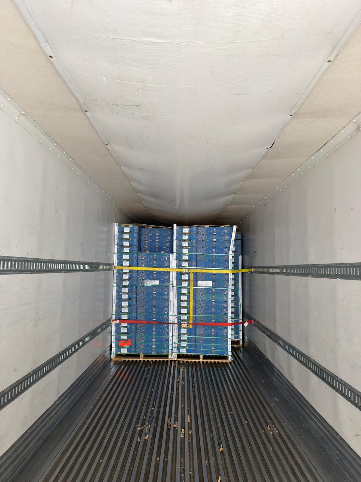 Palletized produce cartons secured inside a DT Trans LLC reefer trailer