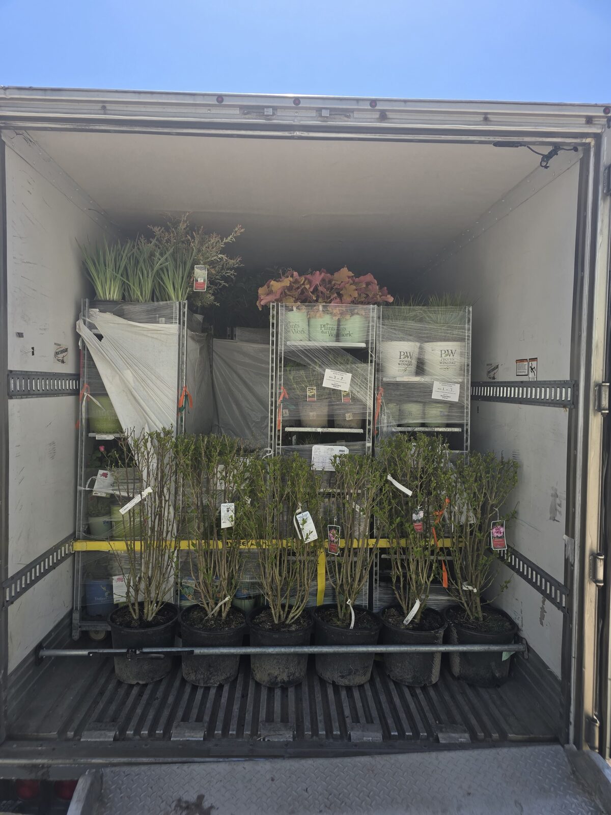 Nursery plants racked inside a DT Trans LLC refrigerated trailer